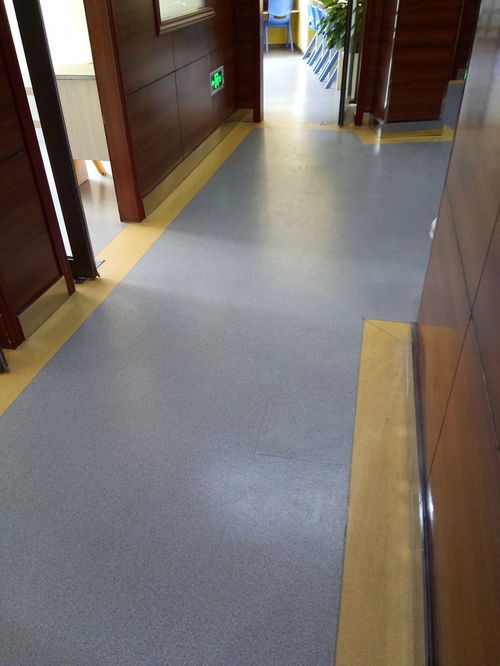 翠屏區(qū) pvc塑膠地板 三臺縣地膠 蛋糕房木紋運(yùn)動地膠