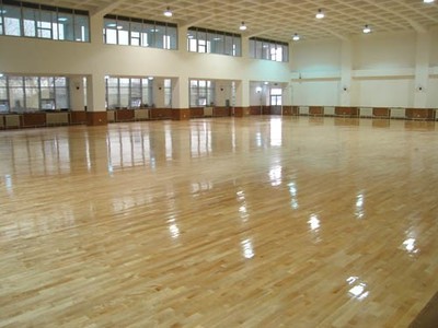 塑膠地板與運(yùn)動場地材料全解析 哈爾濱塑膠跑道、人造草坪及塑膠球場施工