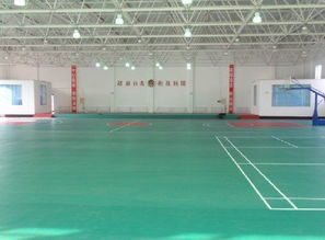天津運動地板、廊坊PVC地板、唐山塑膠地板與滄州球場地板廠家圖片展示