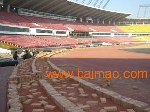 預制型環保橡膠跑道 綠通塑膠制品的專業供應與塑膠地板批發